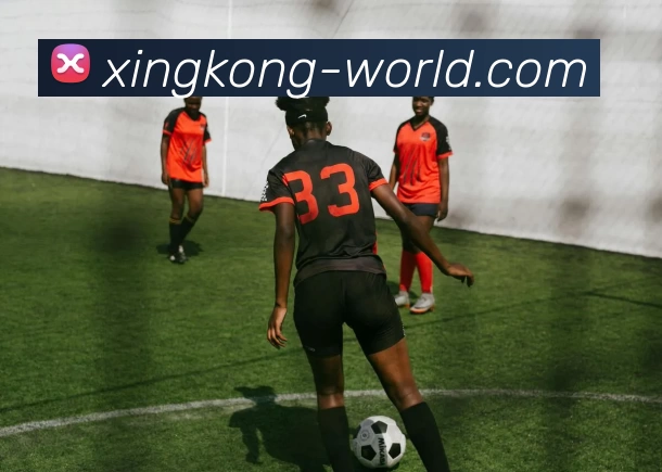 worldnews服务体系